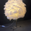 Thumbnail: Chicken leg feather lamp