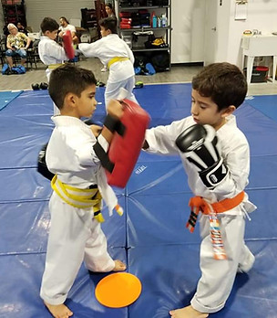 Hybrid Martial Arts - Programs
