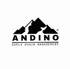 ANDINO_edited_edited.jpg