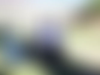 Festejo DÃa del Niño