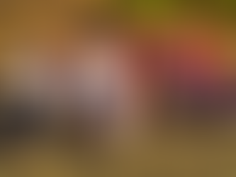 Torneo “Jardín de la República”