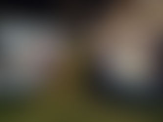 Cena de Fin de Año 2019