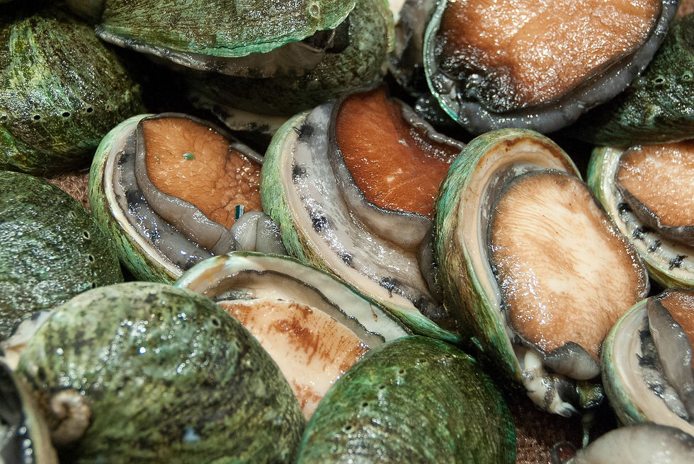 Cocktail-Abalone.jpg
