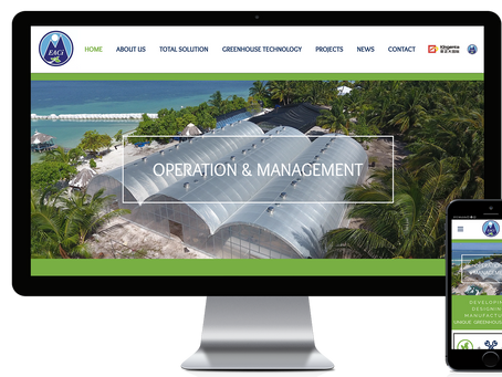 אתר וויקס - WIX - חדש לחברת EACI