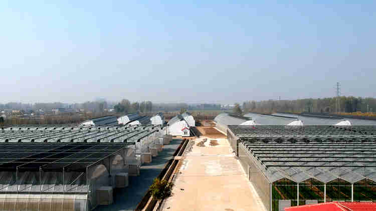 sino-israel greenhouse system