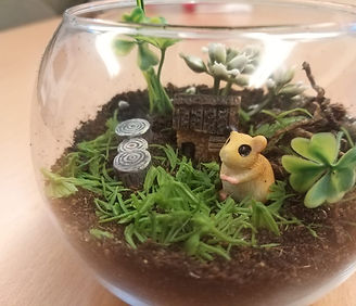 WhatsApp Image 2023-02-01 at 2.15.45 PM.jpeg