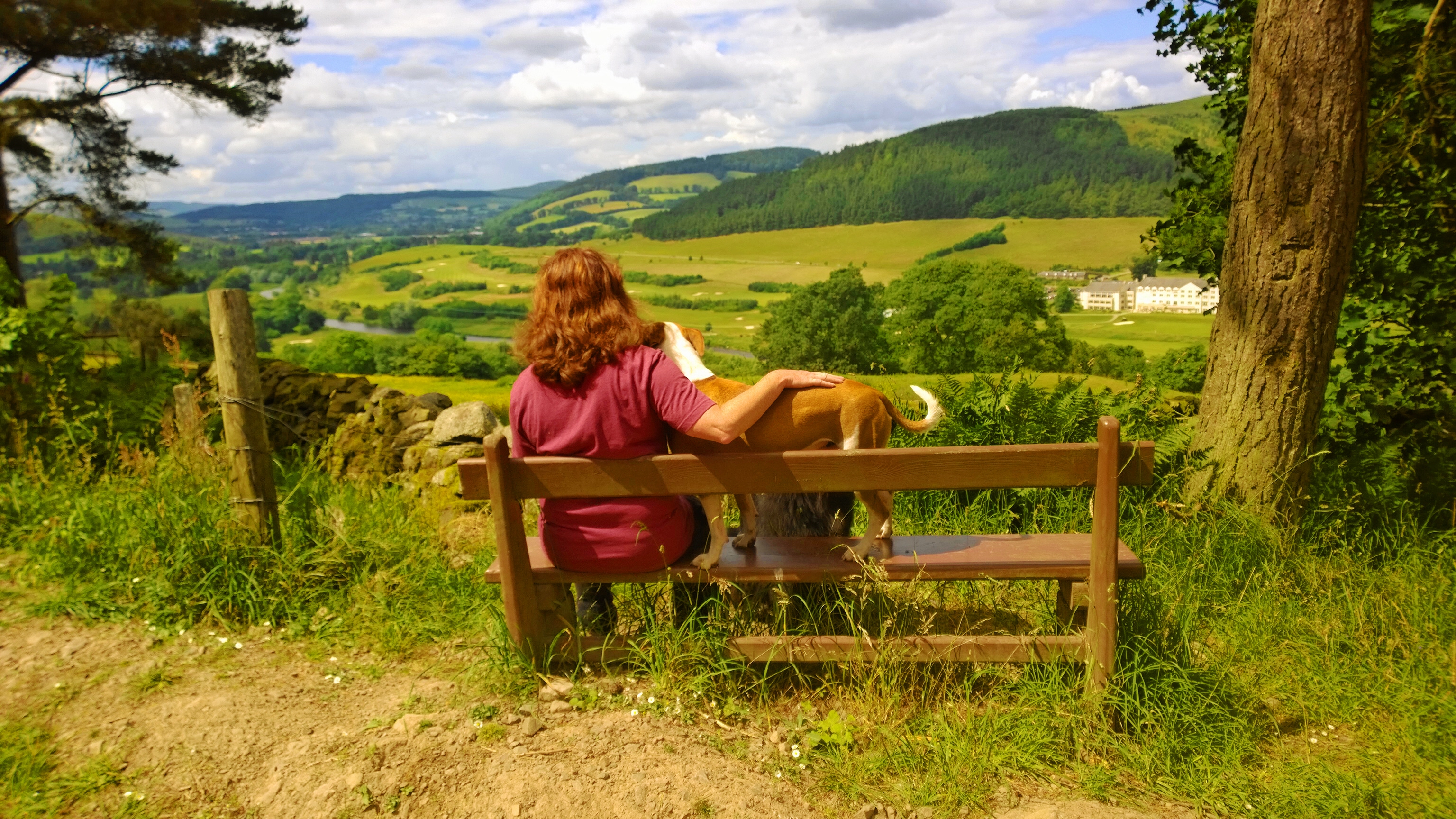 The Dog Life Dog Behaviourist Dog Training Scotland Inverness