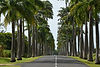 lecreusois-guadeloupe-1158593_1920.jpg
