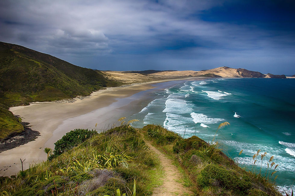 holgerheinze0-beach-583172_1920.jpg