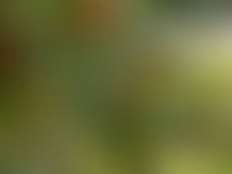 紫電改343完結編 第４話公開しました！と第３話の事。