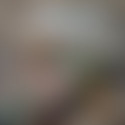 須本先生と紫電改ゆかりの地をめぐりませんか？