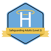 Badge image for_ Safeguarding Adults (Level 2) – Skills for Health.png