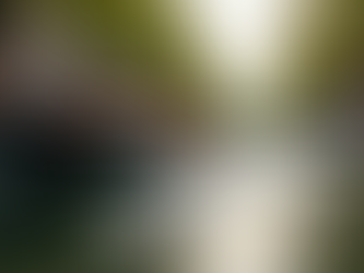 Exploring London's Hidden Gems: A 12-Day Adventure