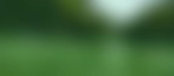 Thank you for your feedback