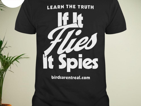 Learn the truth if it flies it spies shirt