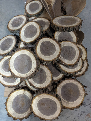Rustic Wood Rounds /Wood Cookies | Quickmeyer Tree Farm