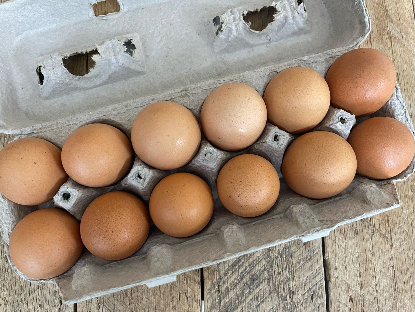 Pasture-Raised Eggs, soy & corn free