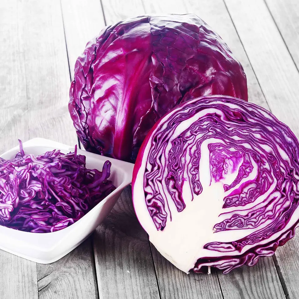 Red Cabbage, Medium