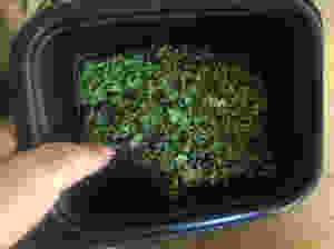 stored parsley