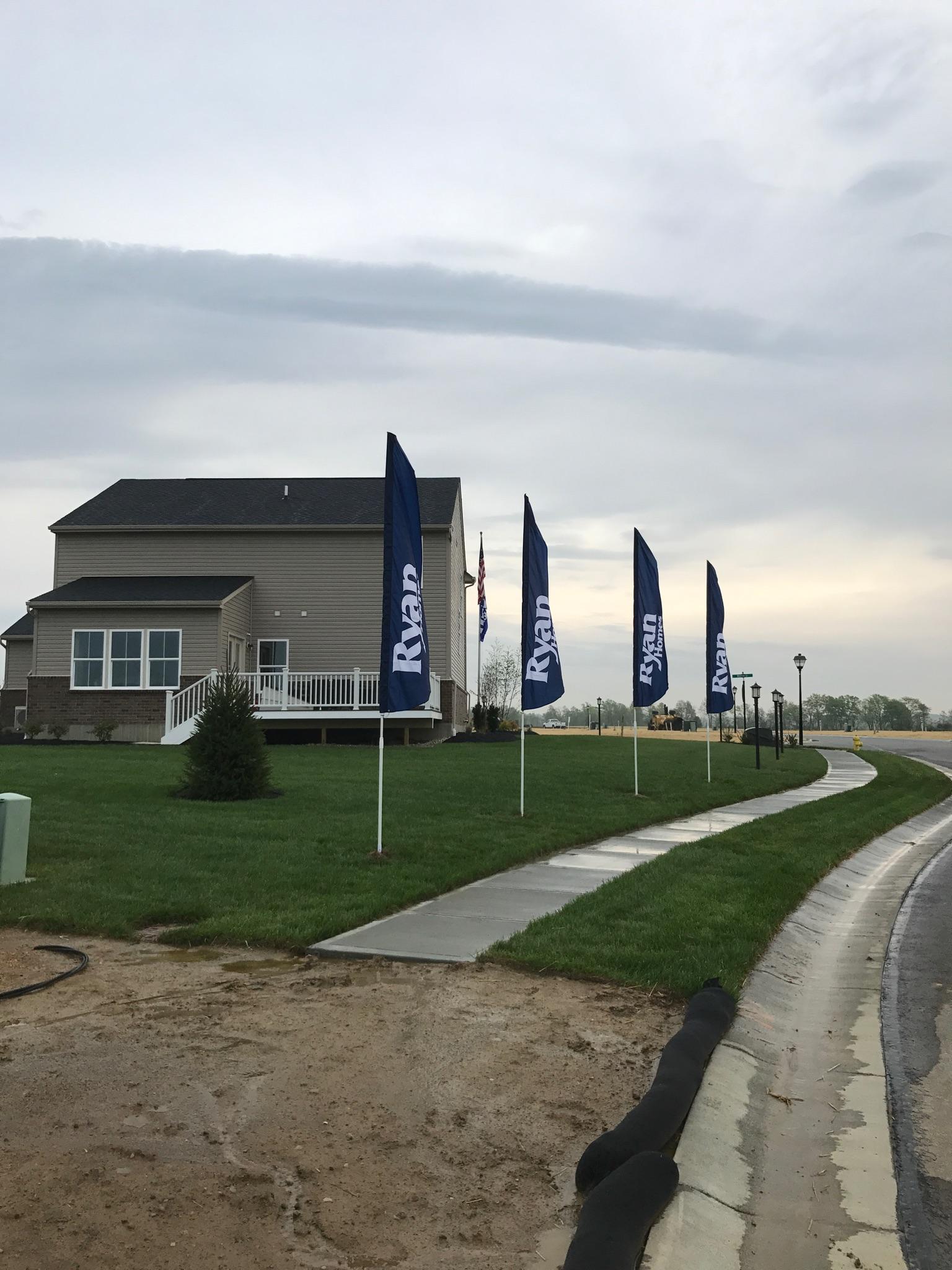 Ryan feather flags