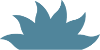 nuevo-destino-logo.png