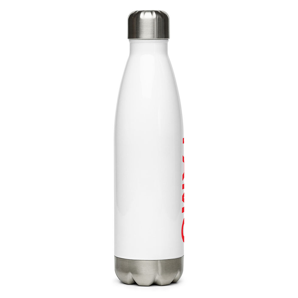 Thumbnail: FAMO Stainless steel water bottle