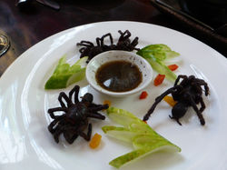 some were brave - tarantula nibble