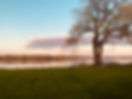 IMG_3807.jpeg