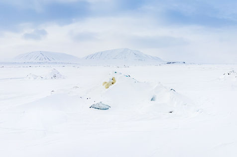 Florian_Ledoux_006.jpg