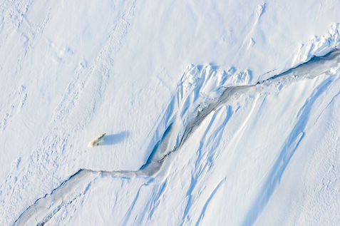 Florian_Ledoux_009.jpg