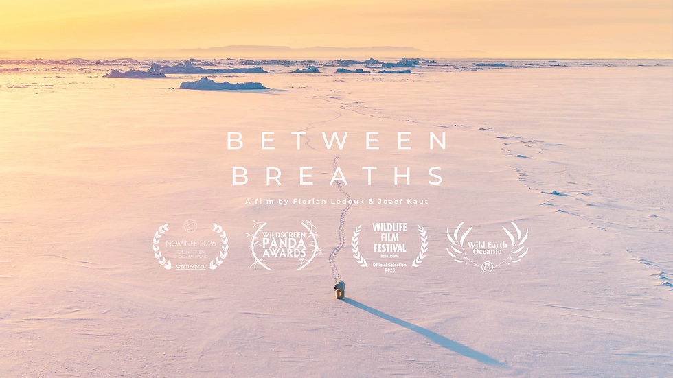 Film poster Between Breaths
