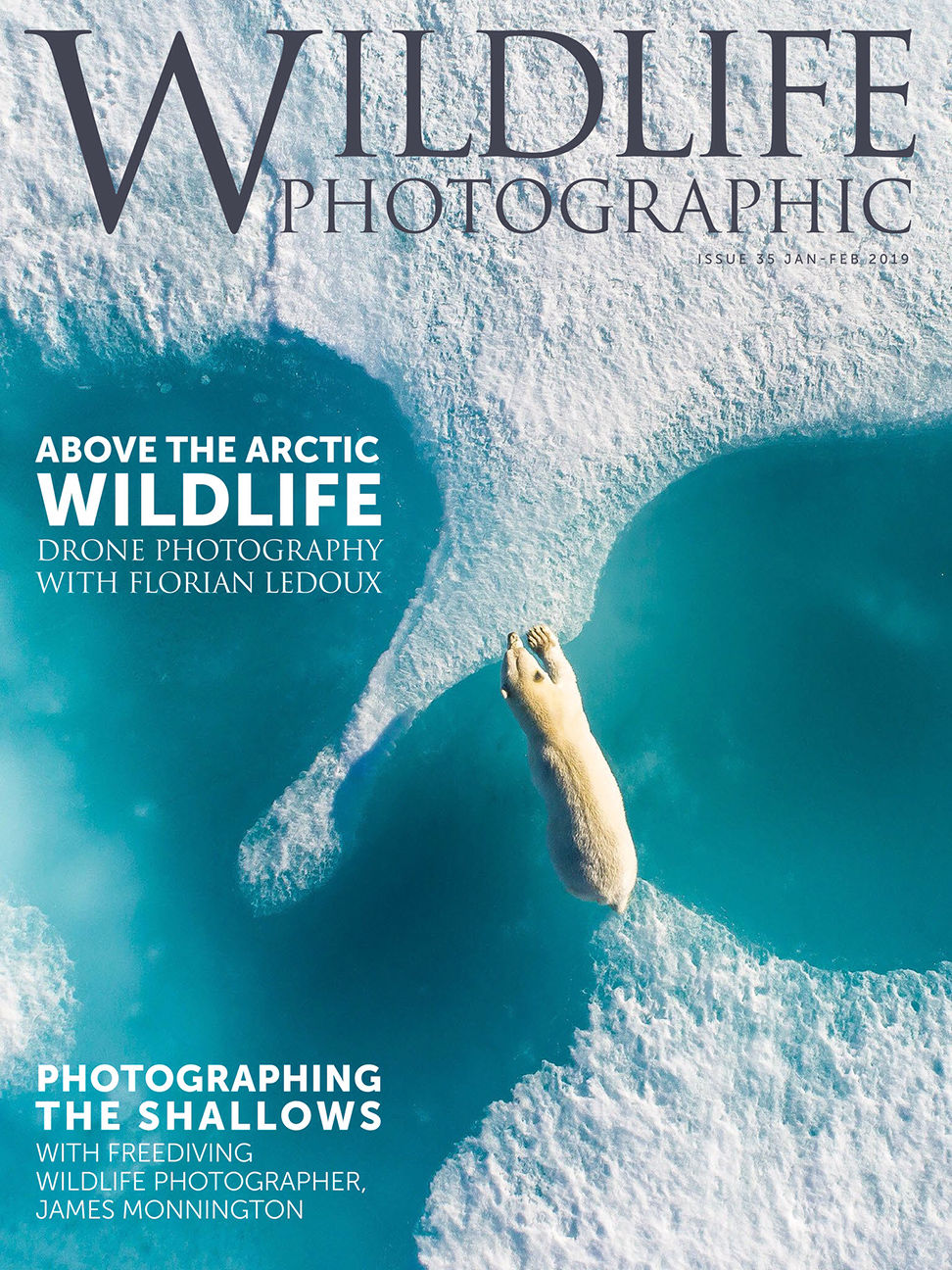Wildlife Photographic