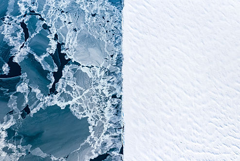 POLARBEAR_FL_A_0806.jpg