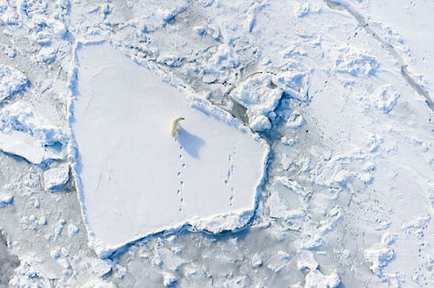 Florian_Ledoux_014.jpg