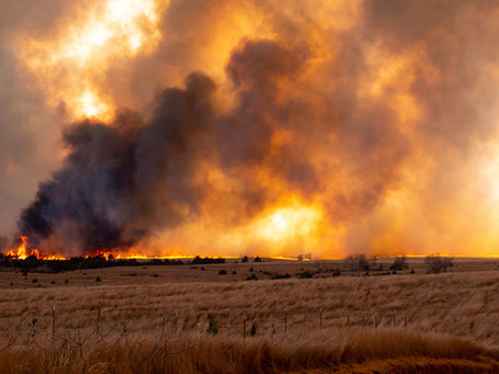 Oklahoma wildfire planning improves preparedness as season begins
