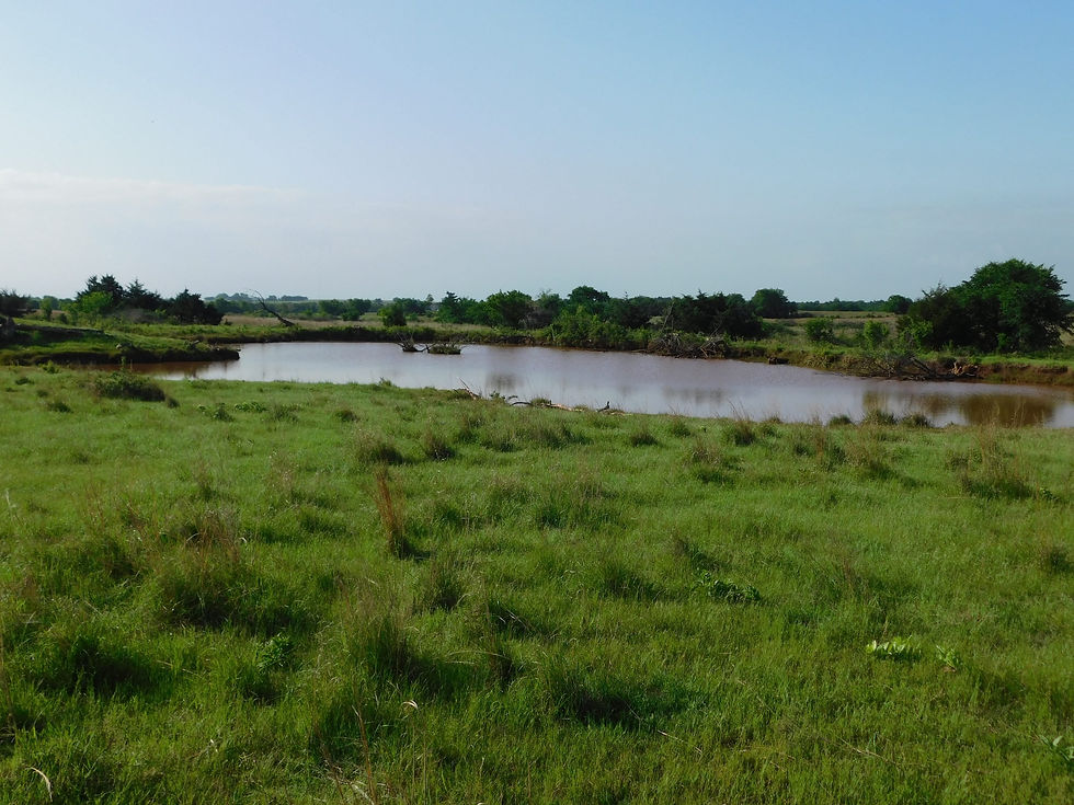 pond in Noble Oklahoma County