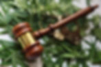 marijuana leaves judges gavel