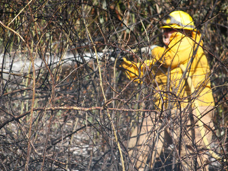 Oklahoma Forestry Director Position Remains Vacant More Than 15 Months After Wildfires