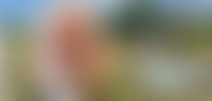 Texas Trucker Charged in Fatal Oklahoma Turnpike Crash