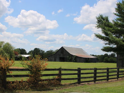 Oklahoma Agricultural Market Outlook: 5 Factors to Watch This Week