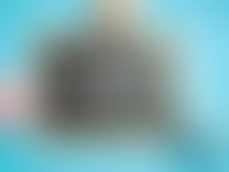 Parental choice tax credit expansion advances in Oklahoma House