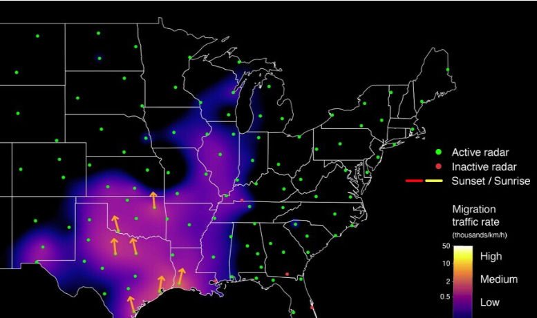 Map of central and eastern U.S. shows migration traffic rates in purple with orange arrows. Active radar points marked in green.