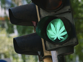 OMMA Commercial Transporter License Expands Cannabis Logistics
