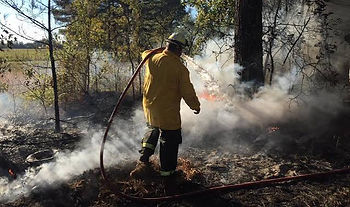 Firefighter in yellow gear sprays water on a smoky brush fire in a wooded area, with flames and haze in the background