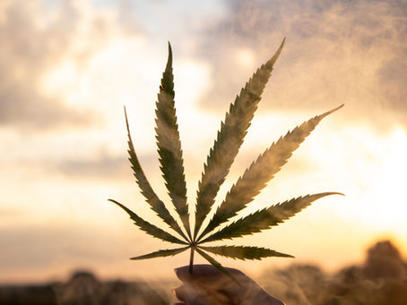 Medical Marijuana Rescheduling Impacts Oklahoma