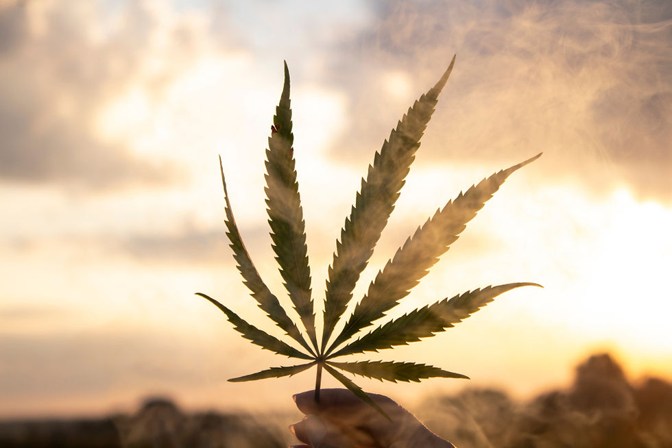 Medical Marijuana Rescheduling Impacts Oklahoma