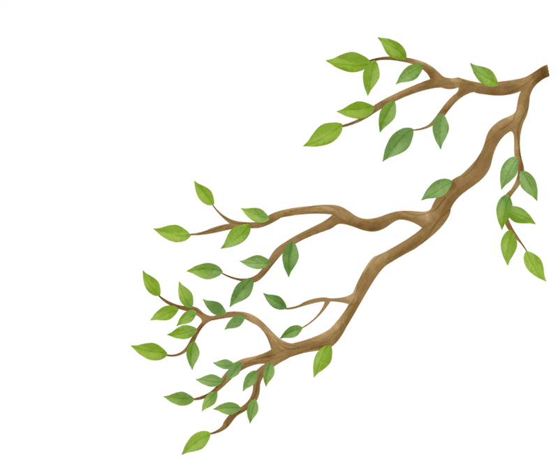 Tree Branch left.png