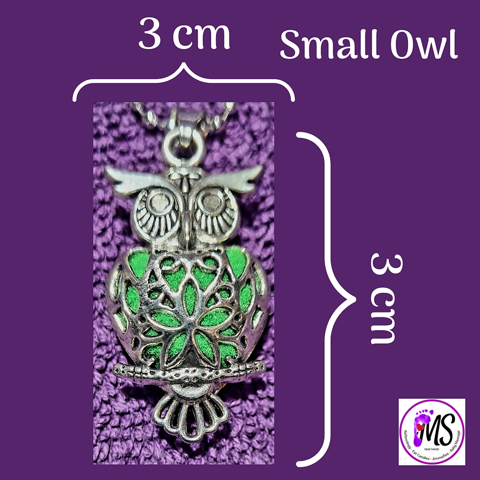 Thumbnail: Essential Oil Diffuser Locket Necklaces
