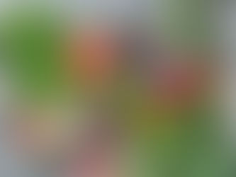 Step by Step Meal Planning Guide