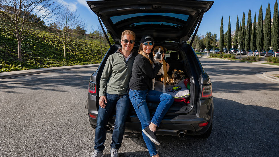 Boxer adopted through R&R Boxer Rescue